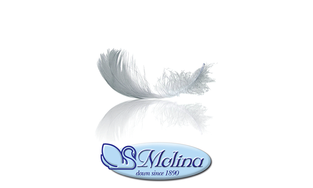 MOLINA LOGO
