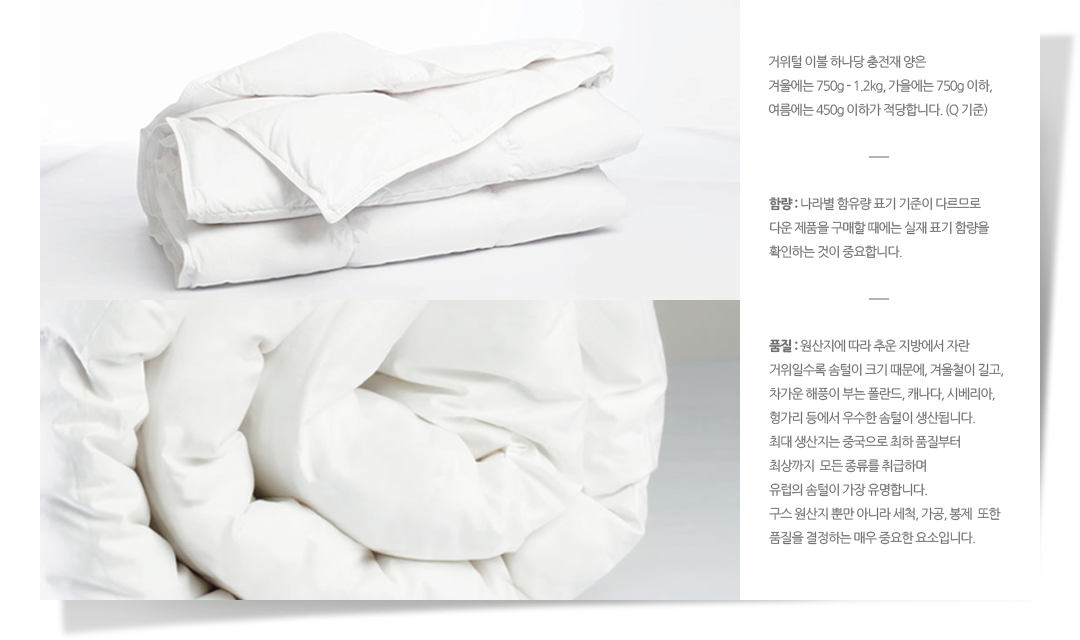 구스다운 이미지